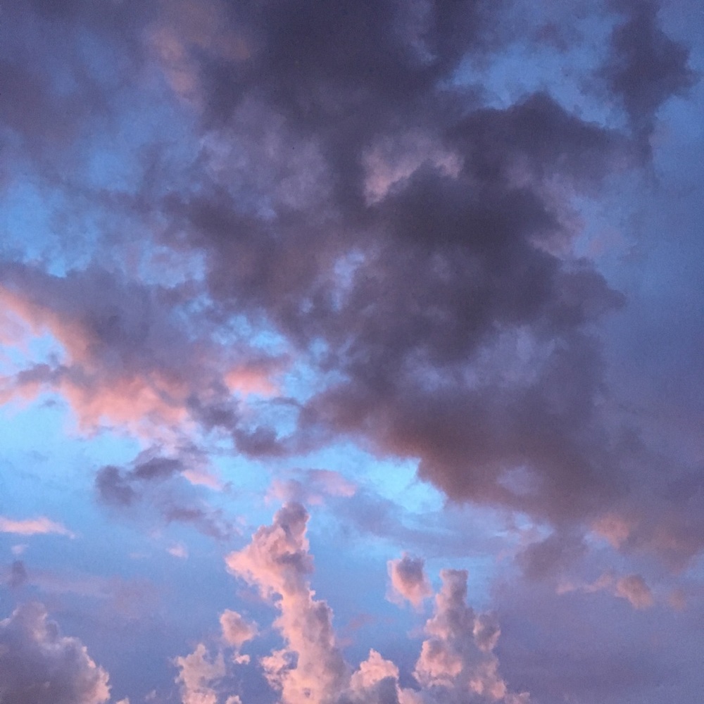 Meet your Posher, Vivian